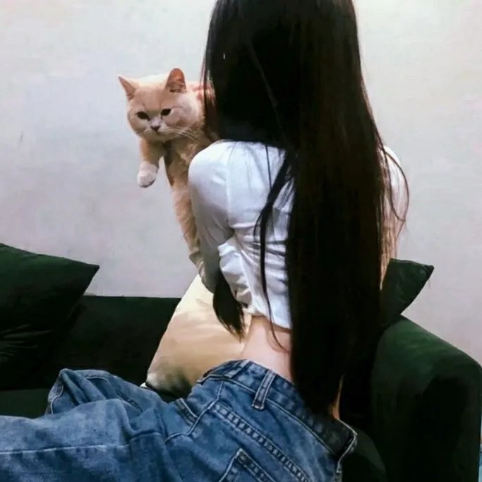 白鲸奇遇记